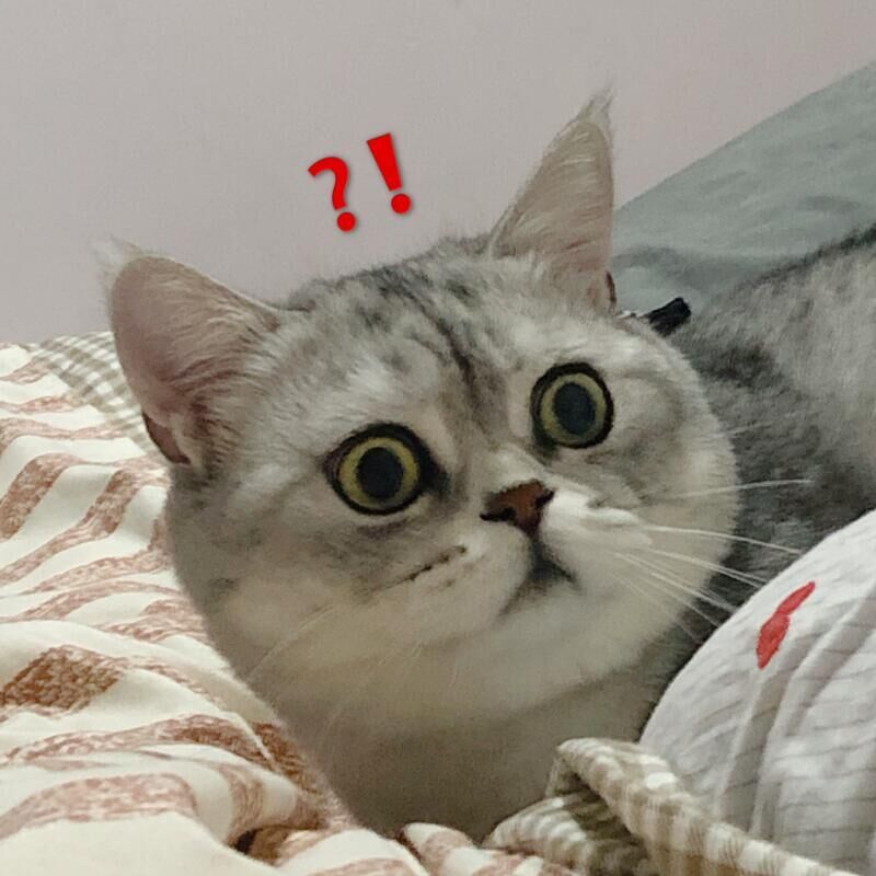 小规模与一般纳税人的区别-企贝网