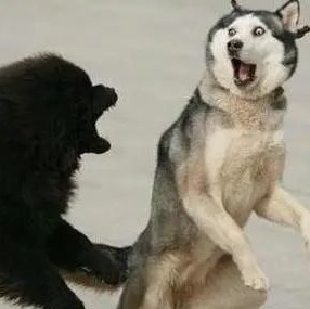 代理记账年审年报-企贝网