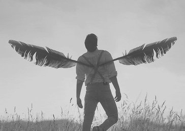 注册公司|！代理记账！商标！公司转让-企贝网