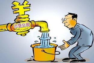 小额.贷公司是做什么的？-企贝网