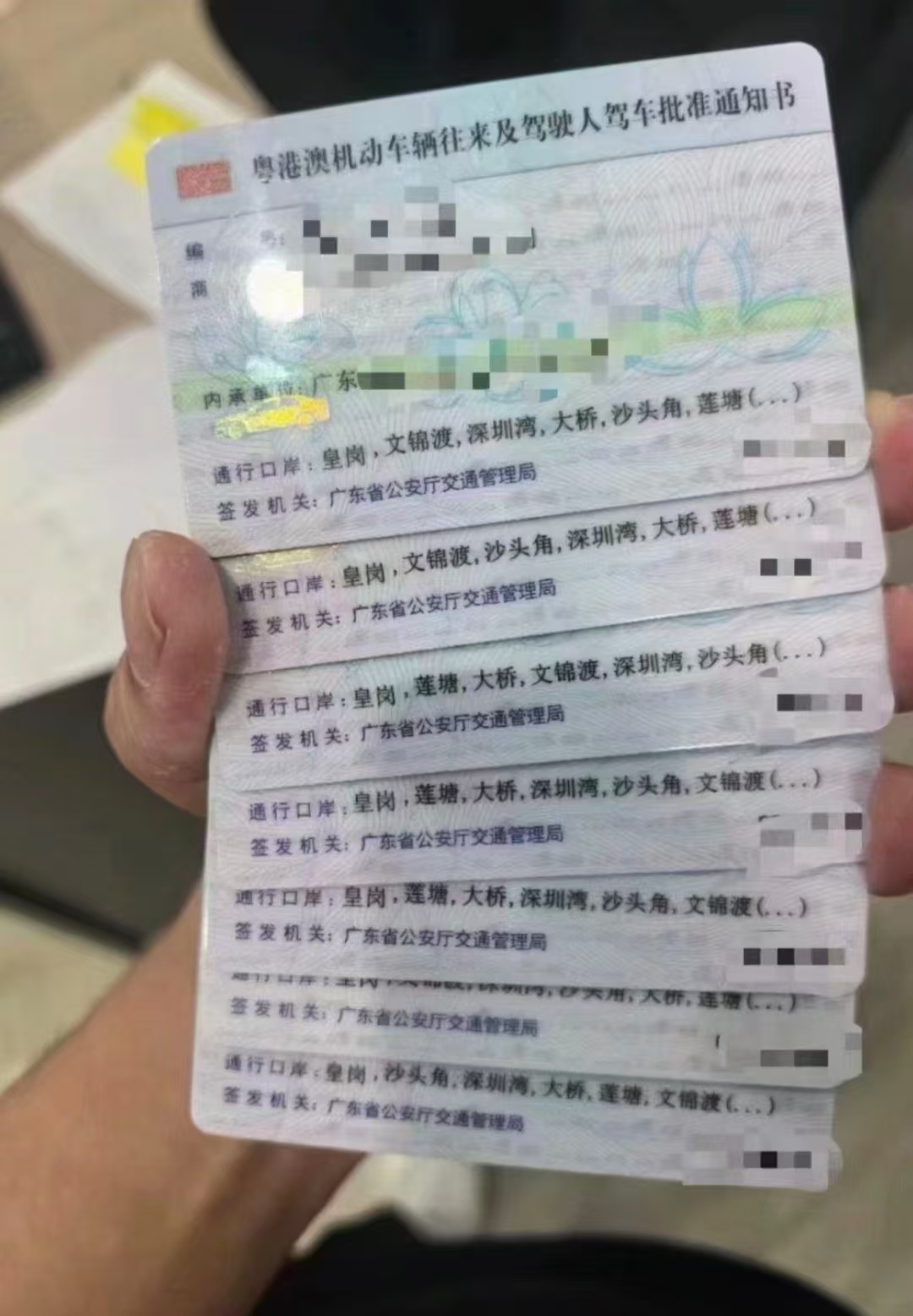 中港车牌，粤z，fv，fu代办-企贝网